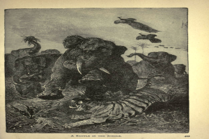 Ein Elefant und ein Tiger kämpfen im Dschungel, umgeben von Bäumen und Vögeln, die am Himmel fliegen, mit Text am unteren Rand des Bildes.