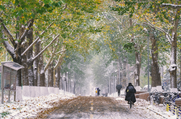Menschen, die eine verschneite Straße mit Schirmen entlanggehen, umgeben von schneebedeckten Bäumen, mit parkenden Fahrrädern auf der rechten Seite und einem Unterstand auf der linken Seite.