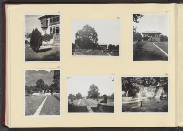 Ein Collage aus schwarz-weißen Fotografien mit Bäumen in der Mitte, umgeben von Gebäuden und einem Brunnen.
