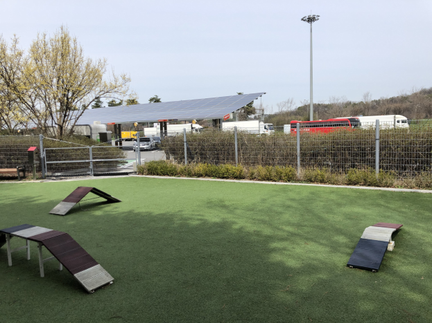 Ein Hundepark mit Kunstgras, Rampen, einem Zaun, Pflanzen, Bäumen, Fahrzeugen, Schuppen, Pfählen und einer Laterne unter einem sichtbaren Himmel.