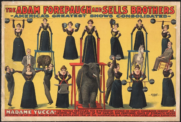 Plakat für Adam Forepaugh und Sells Brothers' Consolidated Shows mit Performern auf Hockern und einem Elefanten in der Mitte sowie Werbetext.