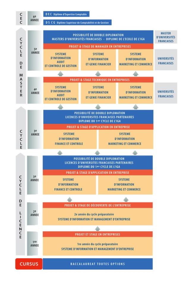 Diagramm, das die organisatorische Struktur eines Unternehmens mit interconnected boxes darstellt, die die verschiedenen Phasen des Unternehmenswachstums und der Entwicklung darstellen, begleitet von Text, der die Rollen und Verantwortlichkeiten beschreibt.