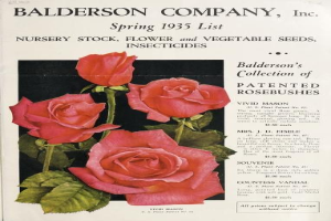 A Baldwin Company, Inc. Spring 1935 catalog featuring pink roses and foliage on the cover.