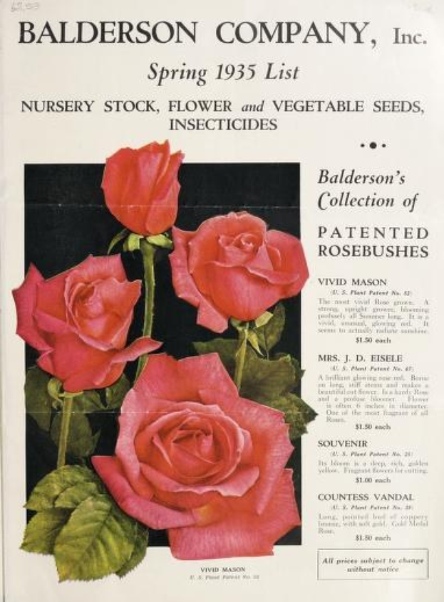 A Baldwin Company, Inc. Spring 1935 catalog featuring pink roses and foliage on the cover.