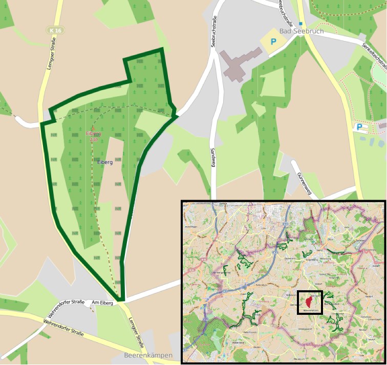 Eine detaillierte Stadtkarte mit einem zentralen grünen Bereich, der für die geplante Entwicklung markiert ist, zeigt Straßen, Gebäude und Sehenswürdigkeiten.