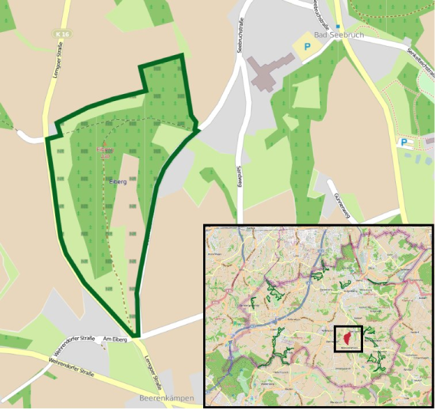 Eine detaillierte Stadtkarte mit einem zentralen grünen Bereich, der für die geplante Entwicklung markiert ist, zeigt Straßen, Gebäude und Sehenswürdigkeiten.